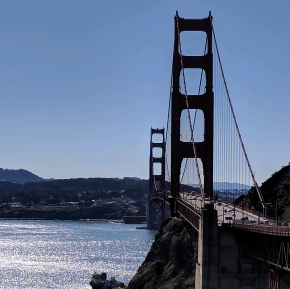 Meet your Posher, Finch - Picture 1 of 1